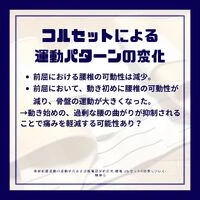画像239