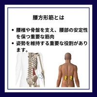 画像339