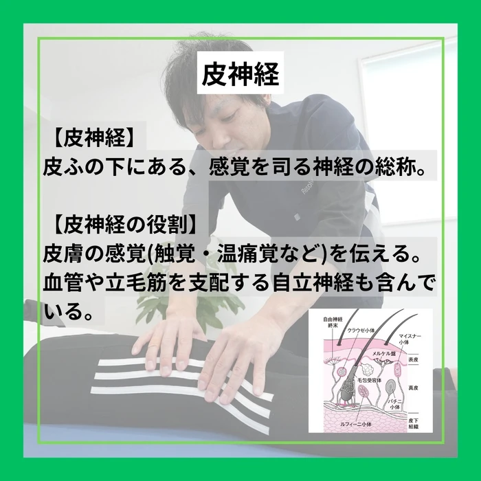 画像365