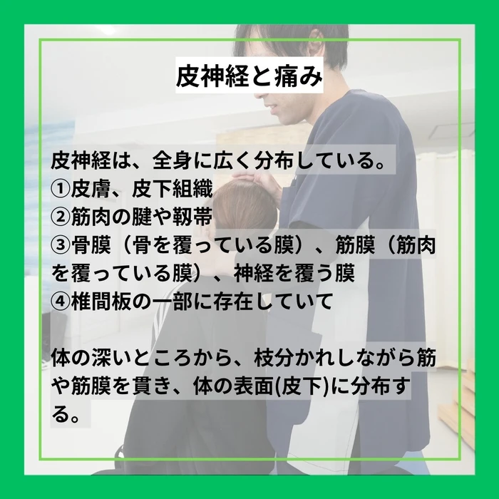 画像366