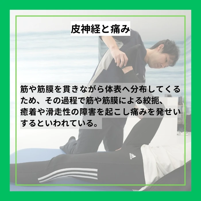 画像367