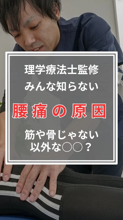 画像613