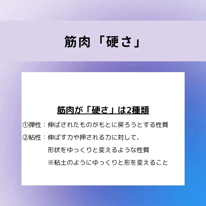 画像641