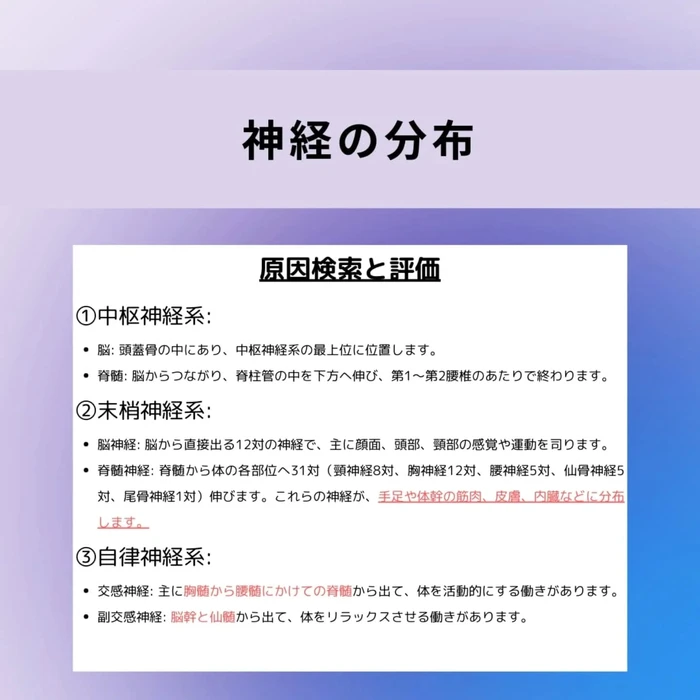 画像664