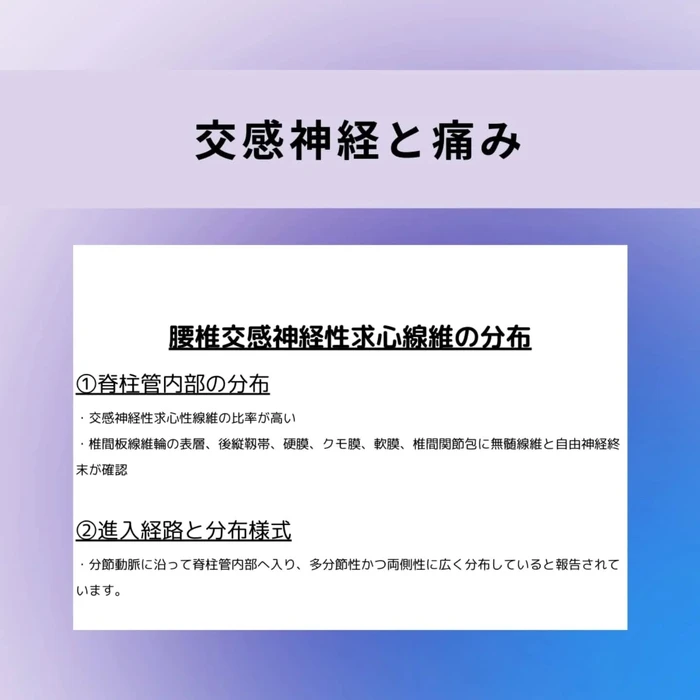 画像673