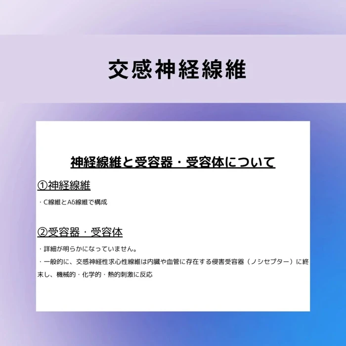 画像674