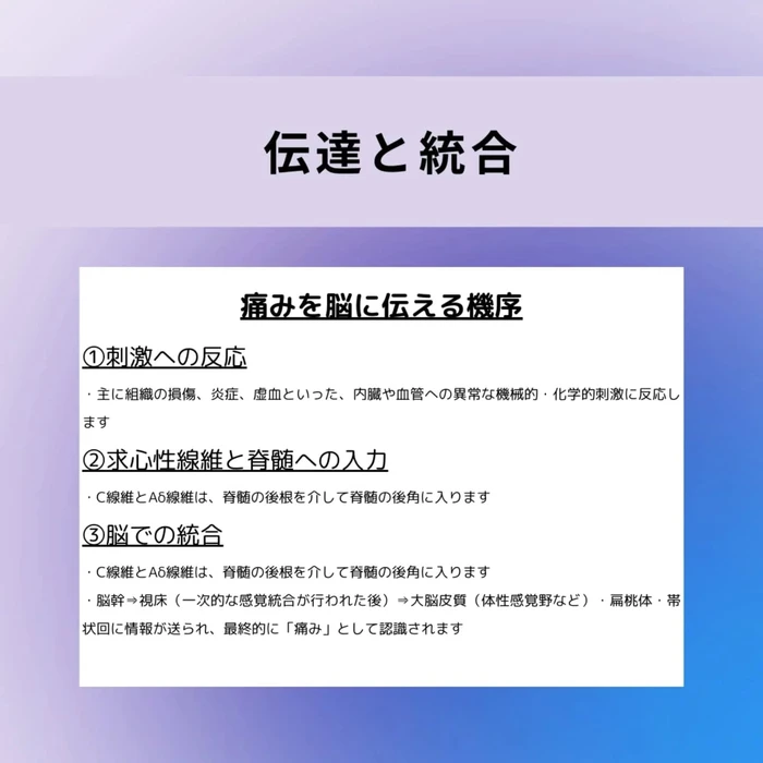 画像675