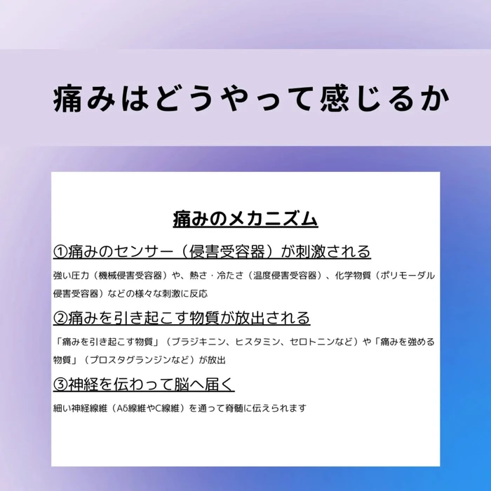 画像697