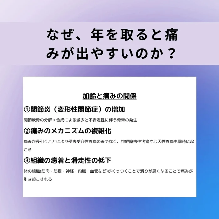 画像699