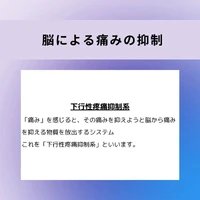 画像704